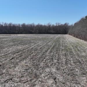 DJI_20250223123812_0540_D