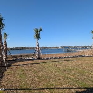 171 Big Hammock Point Picture 3