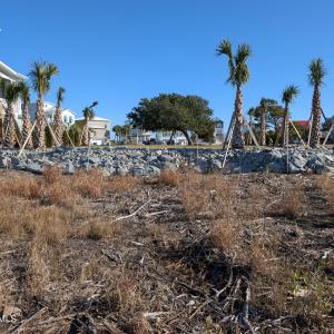 171 Big Hammock Point Picture 1