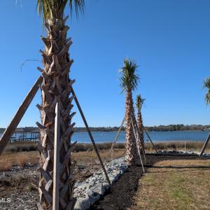 171 Big Hammock Point Picture 4
