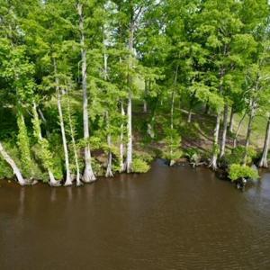 dji_fly_20250425_164218_6_1745616067301_