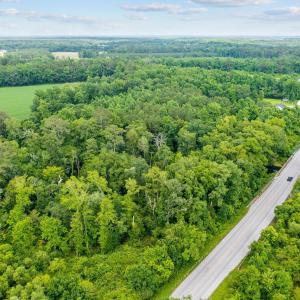 5-web-or-mls-DJI_0879