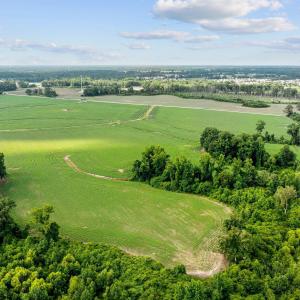 15-web-or-mls-DJI_0897