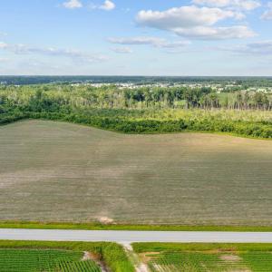 13-web-or-mls-DJI_0895