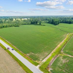 6-web-or-mls-DJI_0881