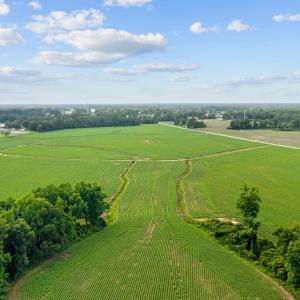 9-web-or-mls-DJI_0884