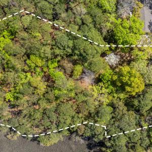 2_dji_20250409115258_0056_d