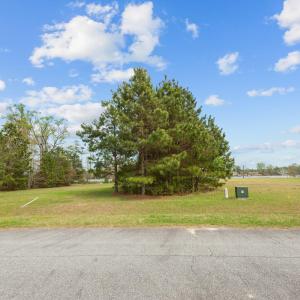 16-web-or-mls-_DSC9634