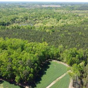 DJI_0574