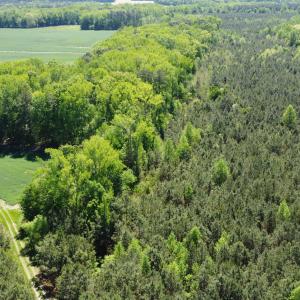 DJI_0581