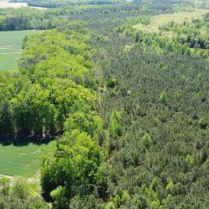 DJI_0582
