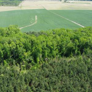 DJI_0588