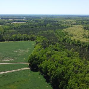 DJI_0594