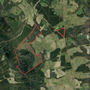 Screenshot 2025-04-23 at 1.22.59PM