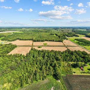 12-web-or-mls-DJI_0180 - Copy