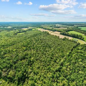 4-web-or-mls-DJI_0171