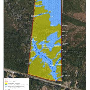 wetland map