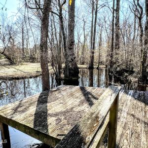 IMG_0242-EDIT