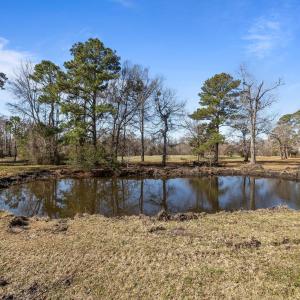 Pond