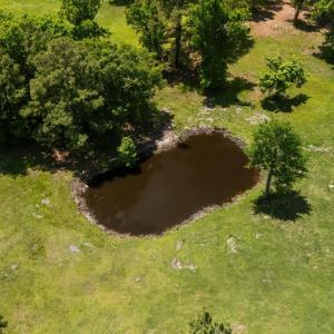 Beautiful pond