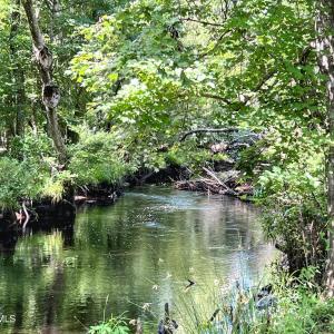 IMG_1472-EDIT