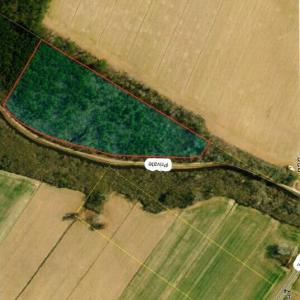 Screenshot 2026-02-23 120838