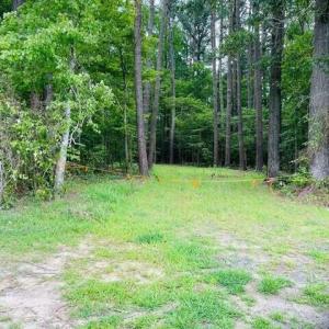 Picture 7