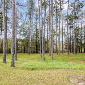 5-web-or-mls-2I3A0005