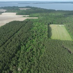 DJI_0024