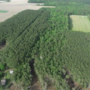 DJI_0026