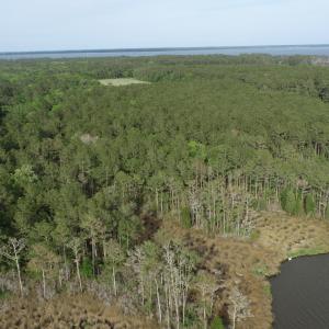DJI_0034