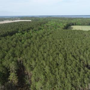 DJI_0037