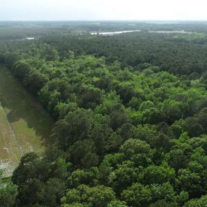 DJI_0039