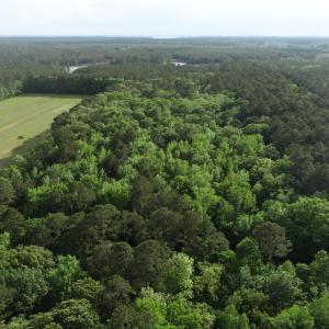 DJI_0040