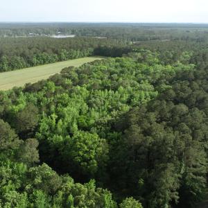 DJI_0041