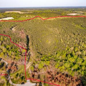 Off Streets Ferry Rd. 294ac