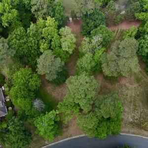 DJI_20250429122834_0230_D