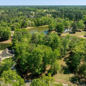 188longleaf2