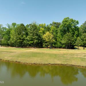 188longleaf9