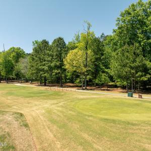 188longleaf10