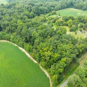 1-web-or-mls-DJI_0707