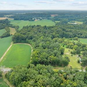 5-web-or-mls-DJI_0711