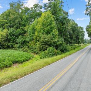 9-web-or-mls-DJI_0715