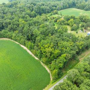 2-web-or-mls-DJI_0708