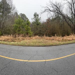 PANORAMIC VIEW