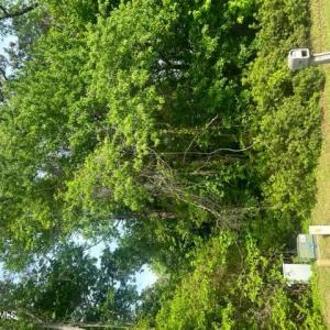front of lot