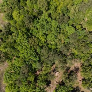 20-web-or-mls-DJI_20250429150925_0772_D