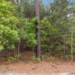 1-web-or-mls-DJI_20250424123444_0151_D