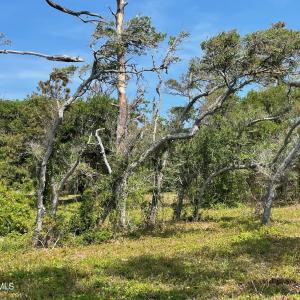 530 & 540 Seashore Dr.