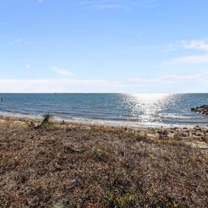 6-web-or-mls-1S3A8029